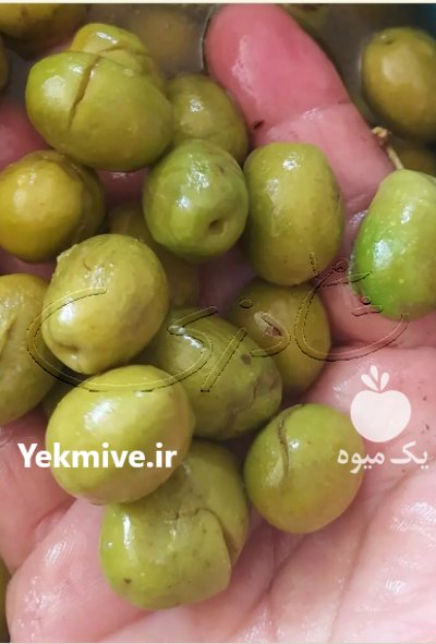 فروش زیتون کنسروی و شکسته در رودبار در گروه خرید فروش عمده زیتون - سبز سیاه بندری پاکستانی طارم در یکمیوه -عکس2