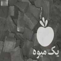 فروش زغال بلو و انجیر در اصفهان در گروه خرید فروش عمده چوب- زغال چوب گردو تبریزی خام در یکمیوه