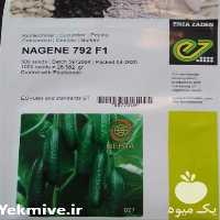 فروش عرضه بذر خیار گلخانه ای ناگین در تهران در گروه خرید فروش بذر - انواع محصول کشاورزی گوجه کتان میوه درخت در یکمیوه