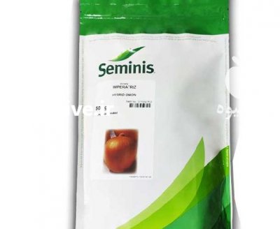 قیمت بذر پیاز امپراتریز در قزوین در گروه خرید فروش بذر - انواع محصول کشاورزی گوجه کتان میوه درخت در یکمیوه -عکس1