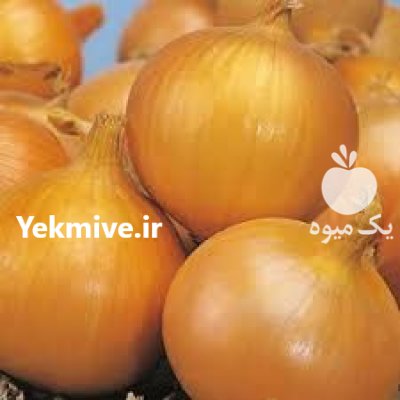 قیمت بذر پیاز تگزاس ارلی گرانو در اردبیل در گروه خرید فروش بذر - انواع محصول کشاورزی گوجه کتان میوه درخت در یکمیوه -عکس2