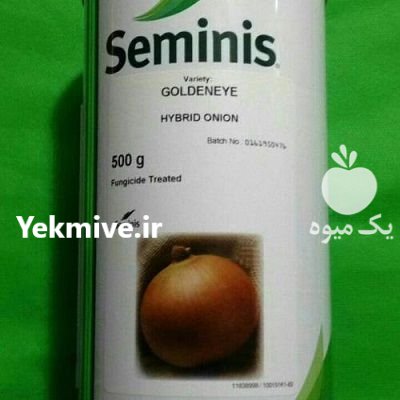 بذر پیاز گلدن آی سمینس در بروجرد در گروه خرید فروش بذر - انواع محصول کشاورزی گوجه کتان میوه درخت در یکمیوه -عکس1