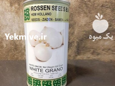بذر پیاز وایت گرانو _ عرضه کننده در شیراز در گروه خرید فروش بذر - انواع محصول کشاورزی گوجه کتان میوه درخت در یکمیوه -عکس1