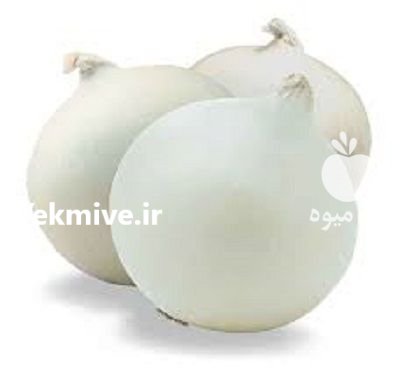 بذر پیاز وایت گرانو _ عرضه کننده در شیراز در گروه خرید فروش بذر - انواع محصول کشاورزی گوجه کتان میوه درخت در یکمیوه -عکس2