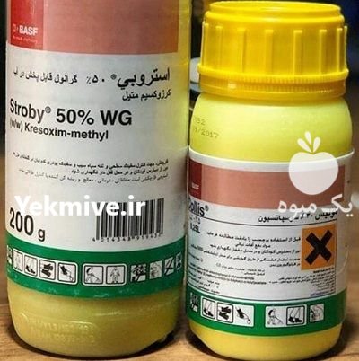 فروش و عرضه سم استروبی باسف در اصفهان در گروه خرید فروش کود و مواد شیمیایی - اوره پتاس مرغی کمپوست آهن در یکمیوه -عکس1