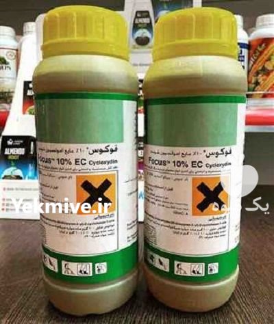 سم فوکوس _ خرید سم ها در مشهد در گروه خرید فروش کود و مواد شیمیایی - اوره پتاس مرغی کمپوست آهن در یکمیوه -عکس2