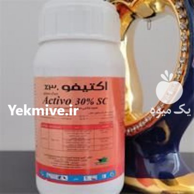 قیمت فروش سم اکتیفو البرج در تهران در گروه خرید فروش نشا - انواع گوجه برنج کاهو پیاز کاری فرنگی در یکمیوه -عکس1