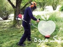 فروش علفزن نهال کن در هشتگرد در گروه خرید فروش ابزار ها و تجهیزات کشاورزی - دستی برقی ماشینی بیل کلنگ در یکمیوه -عکس1