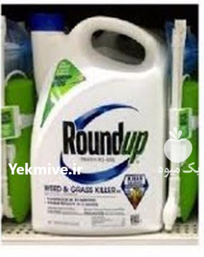 فروش سم رانداپ در رضویه در گروه خرید فروش کود و مواد شیمیایی - اوره پتاس مرغی کمپوست آهن در یکمیوه -عکس1