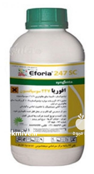 قیمت فروش سم افوریا در رشت در گروه خرید فروش نشا - انواع گوجه برنج کاهو پیاز کاری فرنگی در یکمیوه -عکس3