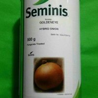 بذر پیاز گلدن آی سمینس در بروجرد در گروه خرید فروش بذر - انواع محصول کشاورزی گوجه کتان میوه درخت در یکمیوه
