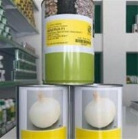 بذر پیاز مینروا _ عرضه و توزیع در یزد در گروه خرید فروش بذر - انواع محصول کشاورزی گوجه کتان میوه درخت در یکمیوه