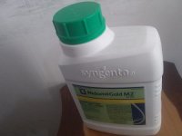 قیمت سم قارچکش ریدومیل ام زد در شهرکرد در گروه خرید فروش بذر - انواع محصول کشاورزی گوجه کتان میوه درخت در یکمیوه