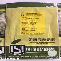 فروش بذر گل کلم والیانت اصل در اردبیل در گروه خرید فروش عمده گل کلم - سفید بنفش شور ترشی در یکمیوه