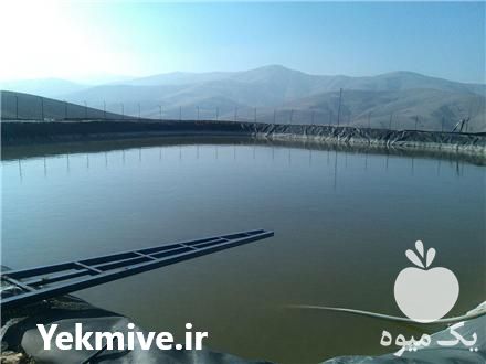 فروش مراحل احداث استخر آب کشاورزی با ورق ژئوممبران در تهران در گروه خرید فروش انواع پوشش ها و ورق ها - پلی استر پلی کربنات نایلون در یکمیوه -عکس1