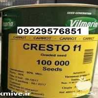 فروش بذر هویج کریستو ویلمورین در اصفهان در گروه خرید فروش بذر - انواع محصول کشاورزی گوجه کتان میوه درخت در یکمیوه