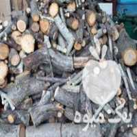 فروش چوب هیزمی برای سوختن در تهران در گروه خرید فروش عمده چوب- زغال چوب گردو تبریزی خام در یکمیوه