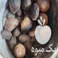 فروش سیب زمینی بذری و خوراکی در زنجان در گروه خرید فروش عمده سیب زمینی - زودرس دیررس آگریا اسپریت اردبیل همدان در یکمیوه