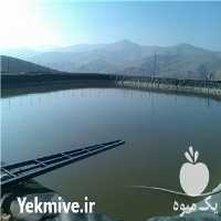 فروش مراحل احداث استخر آب کشاورزی با ورق ژئوممبران در تهران در گروه خرید فروش انواع پوشش ها و ورق ها - پلی استر پلی کربنات نایلون در یکمیوه