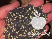 فروش بذر پیاز زرد طلایی فلات درجه 1 در اصفهان در گروه خرید فروش عمده پیاز - قرمز سفید زرد ترشی تازه انباری در یکمیوه -عکس1