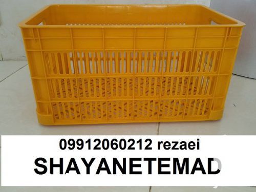 فروش سبد کیلویی سبد حمال در رامسر در گروه خرید و فروش انواع سبد در یکمیوه -عکس1