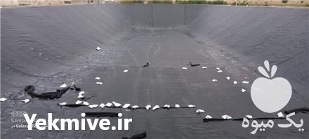 فروش اجرای استخر پلیمری در ورزنه در گروه خرید فروش انواع پوشش ها و ورق ها - پلی استر پلی کربنات نایلون در یکمیوه -عکس1