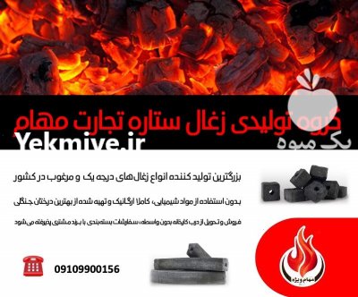فروش انواع زغال صادراتی فشرده در رباط کریم در گروه خرید فروش عمده چوب- زغال چوب گردو تبریزی خام در یکمیوه -عکس1