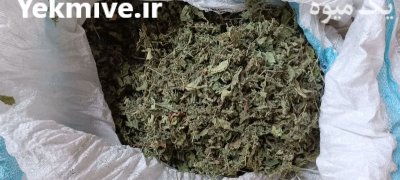 فروش عمده گیاهان دارویی در یاسوج در گروه خرید فروش عمده گیاهان دارویی - معطر خشک خواص دار در یکمیوه -عکس2
