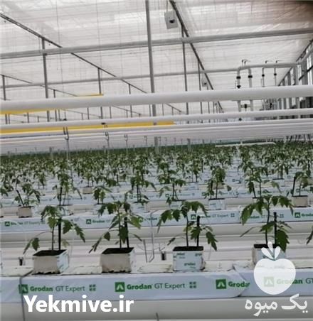 فروش گلخانه شیشه ای و پلاستیکی با تجهیزات در تهران در گروه سازنده - گلخانه باغ مدرن سالن صنعتی سوله انبار در یکمیوه -عکس1