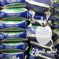 فروش خوراک اکسترود و پلت برای ماهی قرمز در رشت در گروه خوراک شیلات و آبزیان - ماهی گیلان خوزستان چابهار بوشهر در یکمیوه