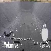 فروش اجرای استخر پلیمری در ورزنه در گروه خرید فروش انواع پوشش ها و ورق ها - پلی استر پلی کربنات نایلون در یکمیوه