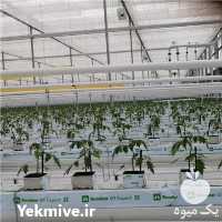 فروش گلخانه شیشه ای و پلاستیکی با تجهیزات در تهران در گروه سازنده - گلخانه باغ مدرن سالن صنعتی سوله انبار در یکمیوه