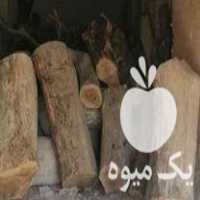 فروش چوب گردو خشک در تربت حیدریه در گروه خرید فروش عمده چوب- زغال چوب گردو تبریزی خام در یکمیوه