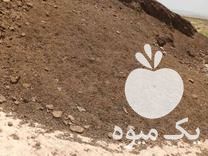 فروش کود حیوانی در کمال شهر در گروه خرید فروش کود و مواد شیمیایی - اوره پتاس مرغی کمپوست آهن در یکمیوه -عکس1