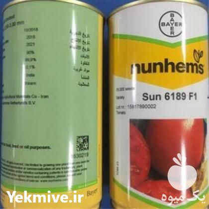 فروش بذر گوجه فرنگی سانسید 6189 در بوشهر در گروه خرید فروش بذر - انواع محصول کشاورزی گوجه کتان میوه درخت در یکمیوه -عکس1