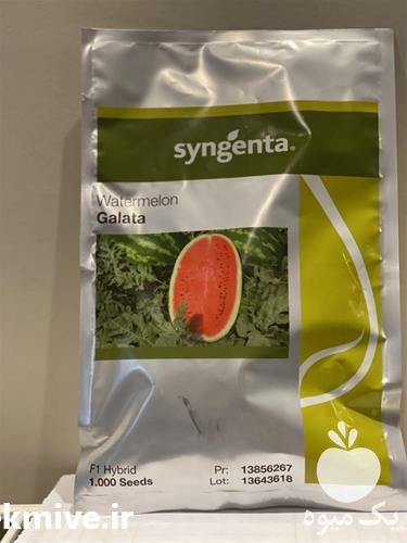 فروش بذر هندوانه کریمسون گالاتا اصل در هرمز در گروه خرید فروش بذر - انواع محصول کشاورزی گوجه کتان میوه درخت در یکمیوه -عکس1