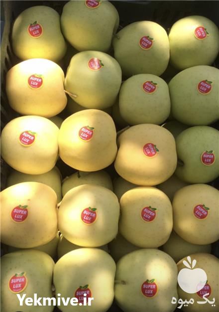 فروش سیب زرد در مهاباد در اصفهان در گروه خرید فروش عمده سیب - زرد و قرمز گلاب پاییزه در یکمیوه -عکس1