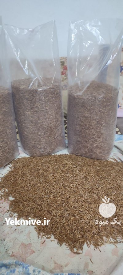 میلورم زنده و خشک در ارومیه در گروه سایر محصولات دام و طیور در یکمیوه -عکس3