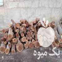 فروش چوب عناب در طرقبه در گروه خرید فروش عمده چوب- زغال چوب گردو تبریزی خام در یکمیوه