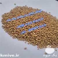 فروش قیمت بذر یونجه قره یونجه در آذربایجان غربی در گروه خرید فروش بذر - انواع محصول کشاورزی گوجه کتان میوه درخت در یکمیوه