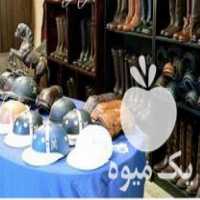 مرکز تولید و فروش انواع لوازم سوارکاری در غرب تهران در گروه اسب و الاغ خر و فروش قاطر- ترکمن عربی سفید نر و ماده در یکمیوه