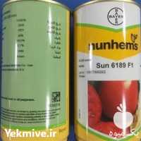 فروش بذر گوجه فرنگی سانسید 6189 در بوشهر در گروه خرید فروش بذر - انواع محصول کشاورزی گوجه کتان میوه درخت در یکمیوه