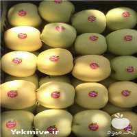 فروش سیب زرد در مهاباد در اصفهان در گروه خرید فروش عمده سیب - زرد و قرمز گلاب پاییزه در یکمیوه