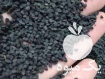 فروش بذر پیاز سفید محلی در بهشهر در گروه خرید فروش عمده پیاز - قرمز سفید زرد ترشی تازه انباری در یکمیوه -عکس1