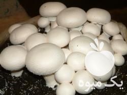 فروش کمپوست قارچ در تهران در گروه خرید فروش عمده قارچ - دکمه ای خوراکی دارویی پرورشی کوهی در یکمیوه -عکس1