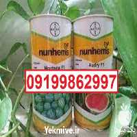 بذر هندوانه مونتانا پرفروش اصل با کیفیت در یزد در گروه خرید فروش بذر - انواع محصول کشاورزی گوجه کتان میوه درخت در یکمیوه