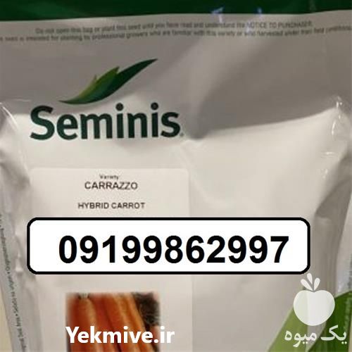 فروش بذر هویج کارورا با کیفیت و بازار پسند و صادراتی در تهران در گروه خرید فروش بذر - انواع محصول کشاورزی گوجه کتان میوه درخت در یکمیوه -عکس1