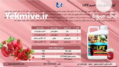کود گوگرد مایع پایه پتاسیم (LIFE) در باجگیران در خراسان رضوی در گروه خرید فروش کود و مواد شیمیایی - اوره پتاس مرغی کمپوست آهن در یکمیوه -عکس1