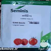 فروش بذر گوجه فرنگی باسیمو اصل شرکتی در بوشهر در گروه خرید فروش بذر - انواع محصول کشاورزی گوجه کتان میوه درخت در یکمیوه