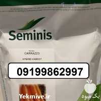 فروش بذر هویج کارورا با کیفیت و بازار پسند و صادراتی در تهران در گروه خرید فروش بذر - انواع محصول کشاورزی گوجه کتان میوه درخت در یکمیوه